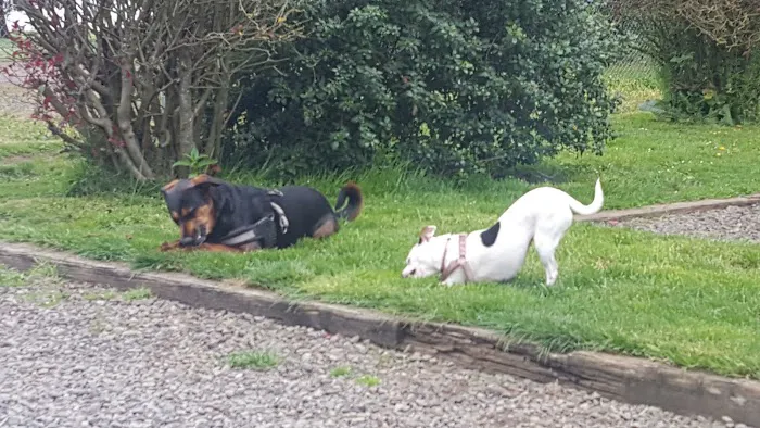 Eugene Kamping World Picture 1