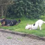 Eugene Kamping World