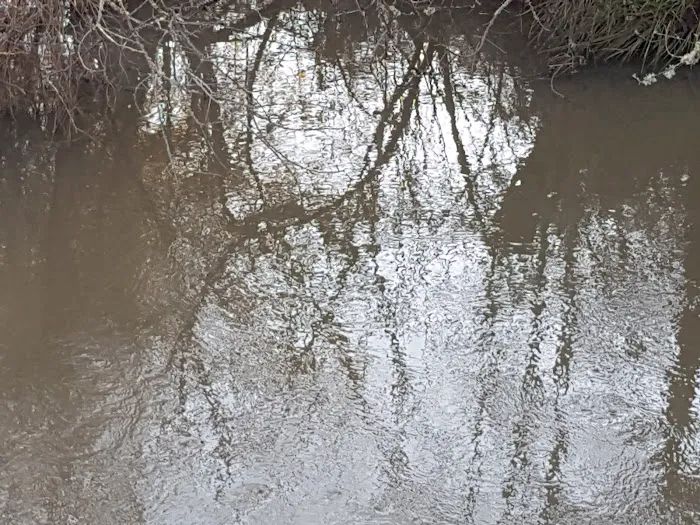 Monroe RV Park Picture 5