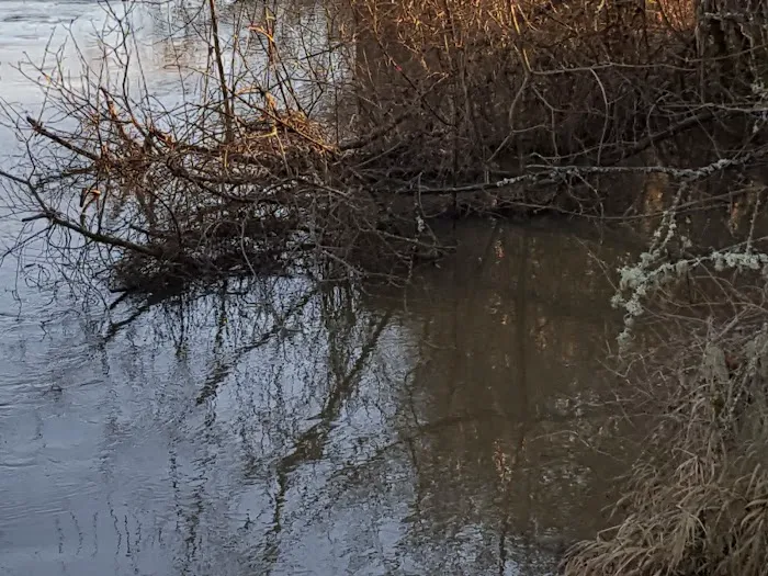 Monroe RV Park Picture 4