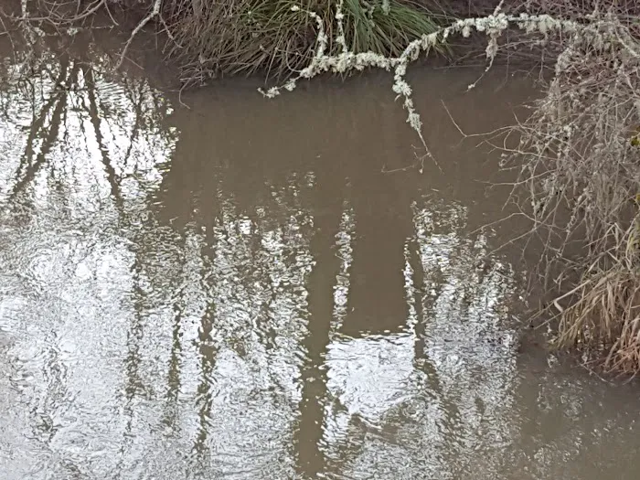 Monroe RV Park Picture 3