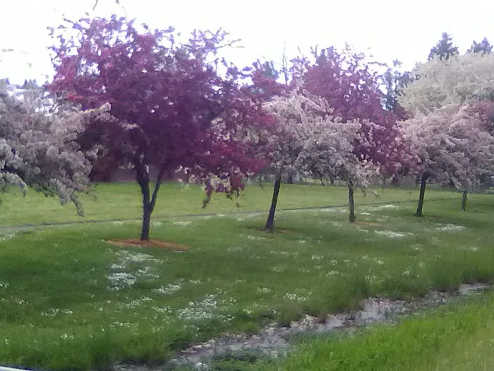 Monroe RV Park Picture 9