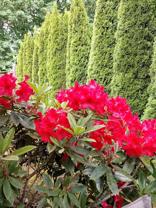 Idle Wheels Manufactured Housing Community Picture 2