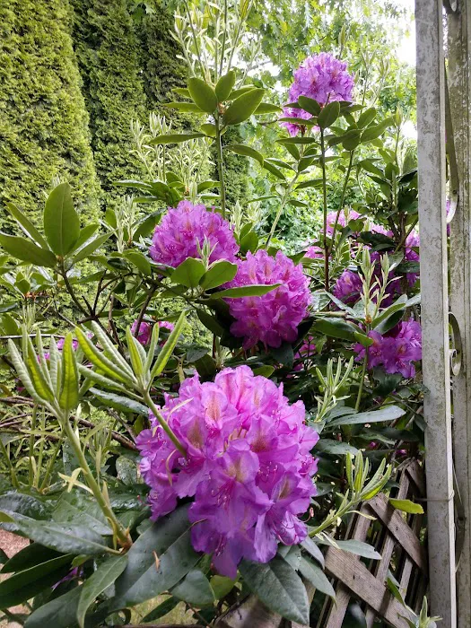 Idle Wheels Manufactured Housing Community Picture 1