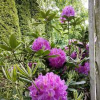 Idle Wheels Manufactured Housing Community ico