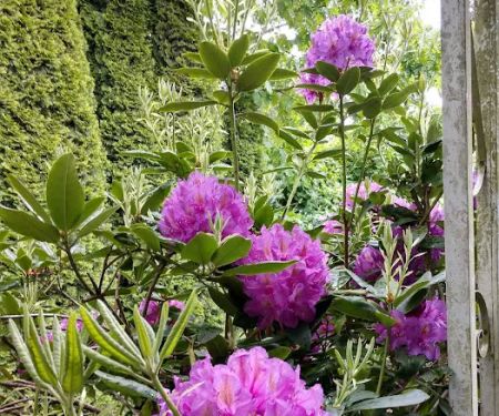 Idle Wheels Manufactured Housing Community