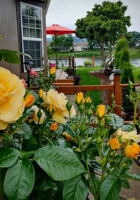 Lakeridge of Eugene Picture 6