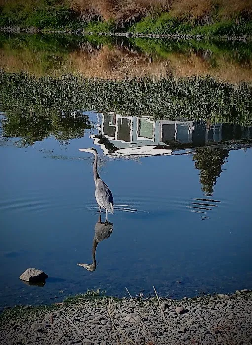 Lakeridge of Eugene Picture 7