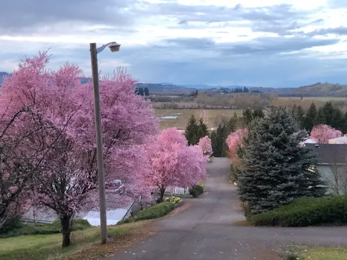 Grandview Mobile Home Park Picture 10