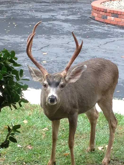 Grandview Mobile Home Park Picture 7