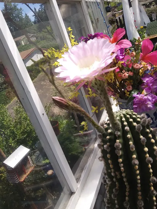 Grandview Mobile Home Park Picture 3