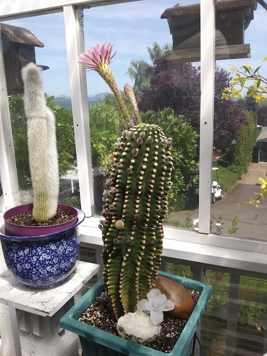 Grandview Mobile Home Park Picture 2