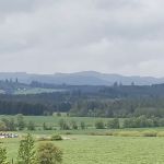 Grandview Mobile Home Park