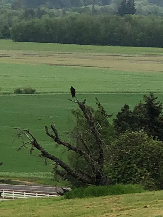 Grandview Mobile Home Park Picture 5