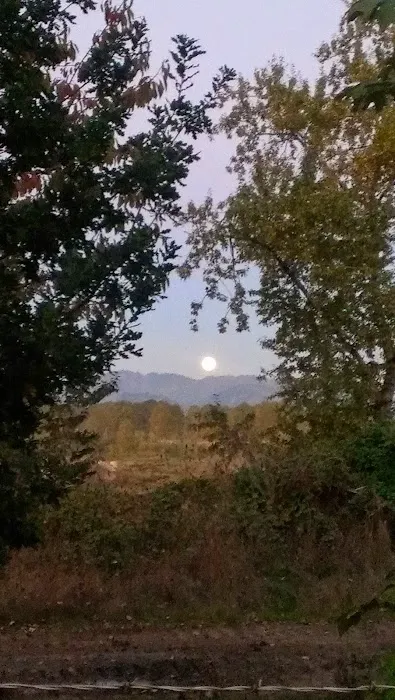 Lee's Mobile Home Park Picture 9