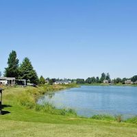 Falcon Wood Village ico