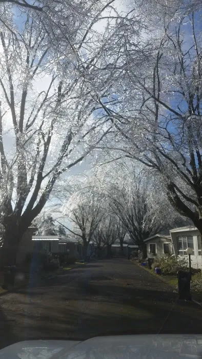 Falcon Wood Village Picture 4