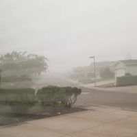 Summer Oaks Park ico