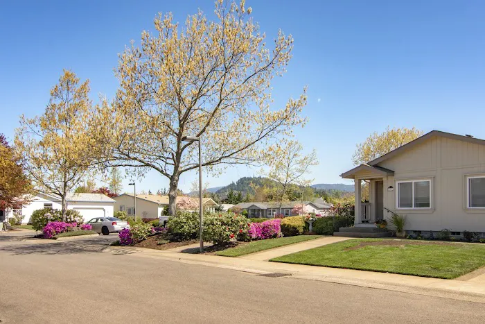 Summer Oaks Park Picture 7