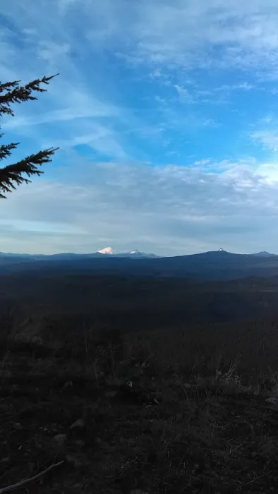 Lazy Days Mobile Home & RV Prk Picture 4