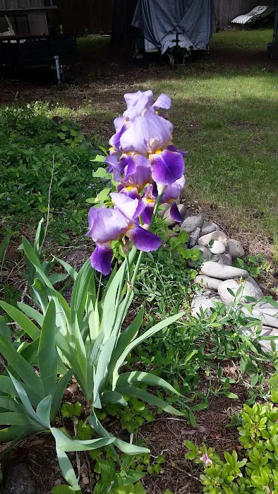 Lazy Days Mobile Home & RV Prk Picture 9