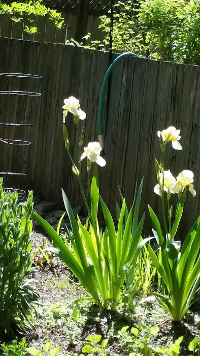 Lazy Days Mobile Home & RV Prk Picture 8