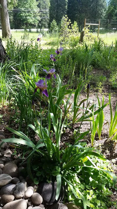 Lazy Days Mobile Home & RV Prk Picture 7