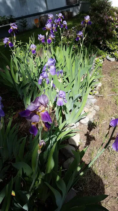 Lazy Days Mobile Home & RV Prk Picture 6