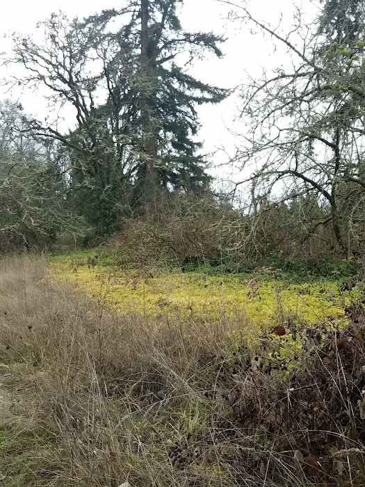 Bella Casa Mobile Home Park Picture 9