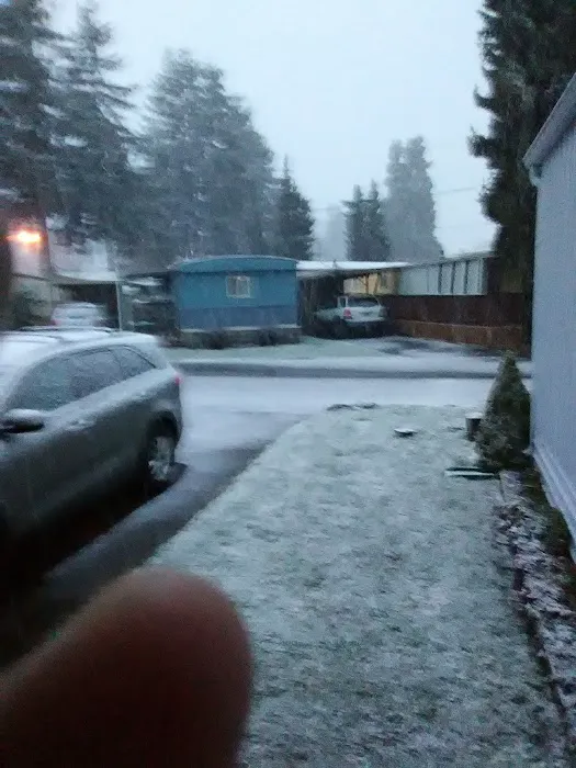 Bella Casa Mobile Home Park Picture 6