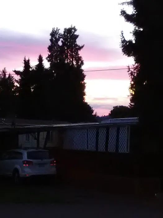 Bella Casa Mobile Home Park Picture 5