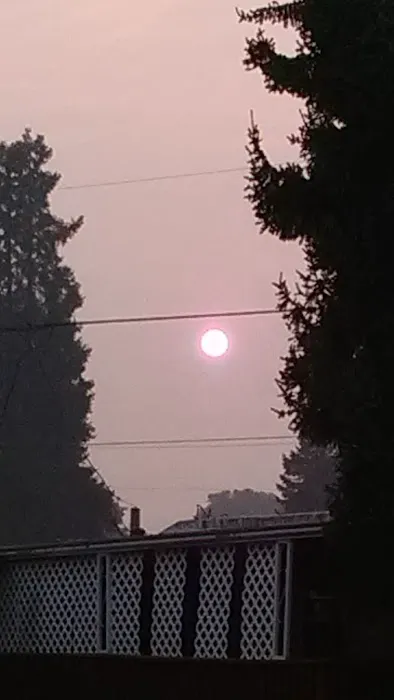 Bella Casa Mobile Home Park Picture 4