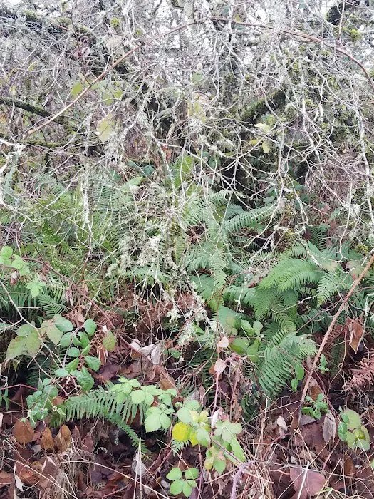 Bella Casa Mobile Home Park Picture 10