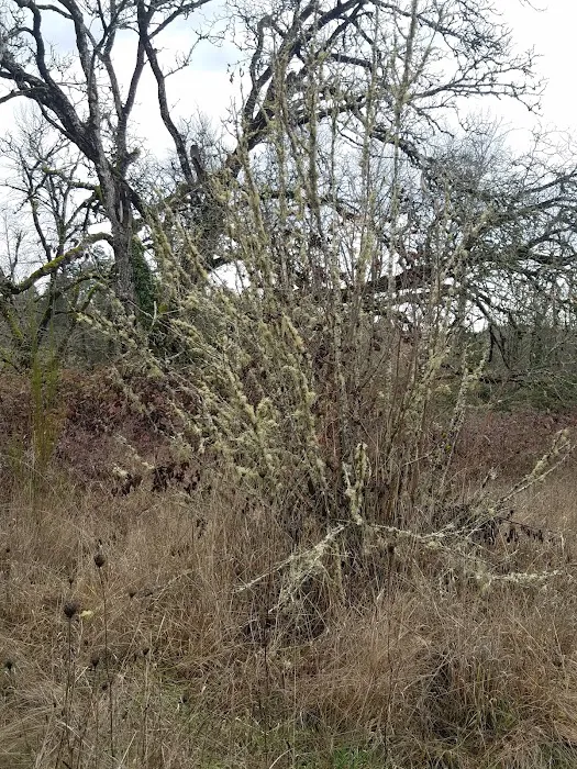 Bella Casa Mobile Home Park Picture 8