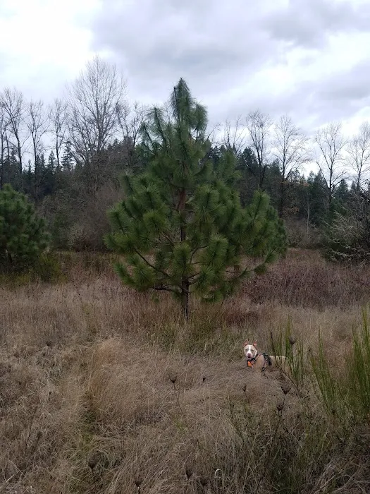 Bella Casa Mobile Home Park Picture 7