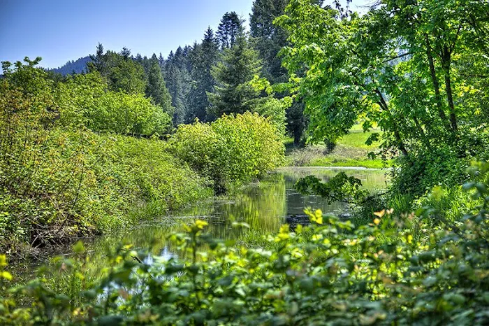 Dexter Shores RV Park Picture 8