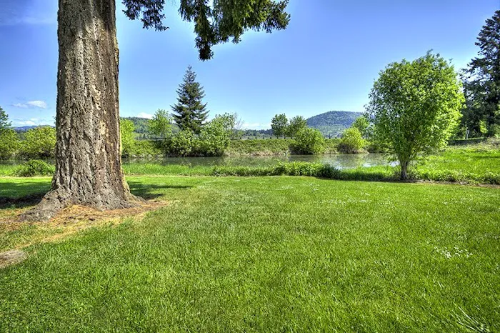 Dexter Shores RV Park Picture 2