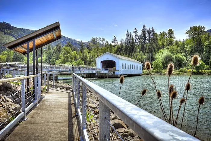 Dexter Shores RV Park Picture 1
