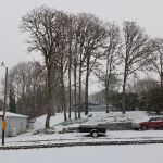 Country Manor Mobile Home Park