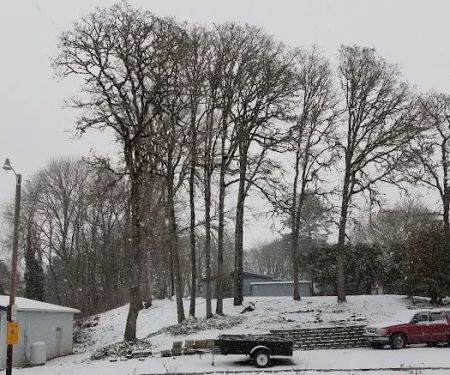 Country Manor Mobile Home Park