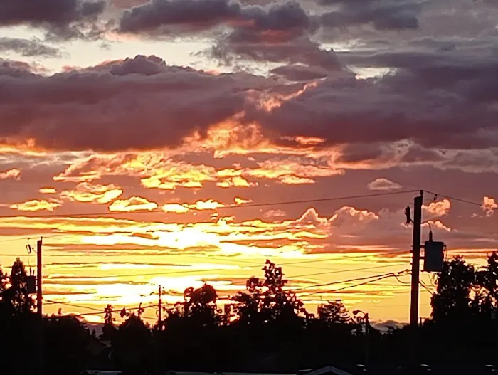 Country Manor Mobile Home Park Picture 9