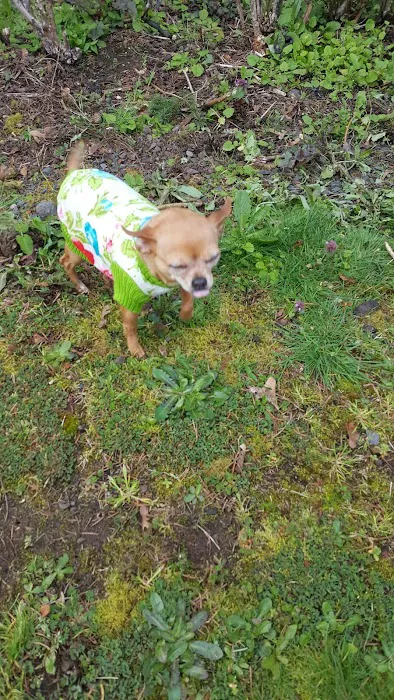 Country Manor Mobile Home Park Picture 6