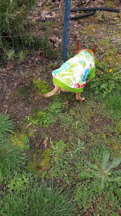 Country Manor Mobile Home Park Picture 7