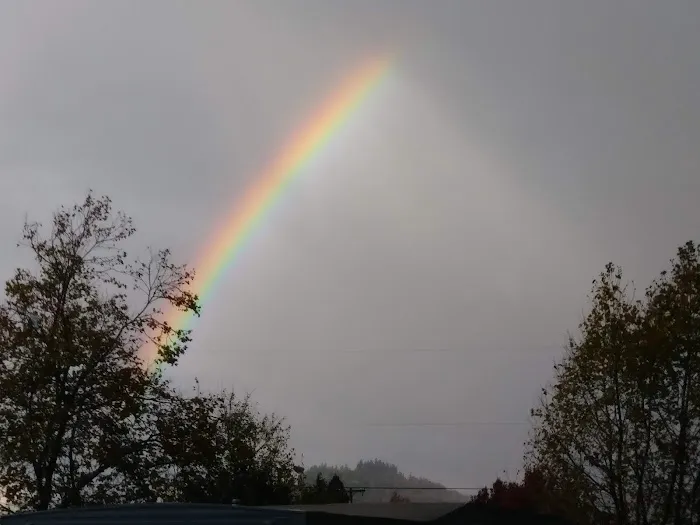 Parklane Manufactured Home Park Picture 8