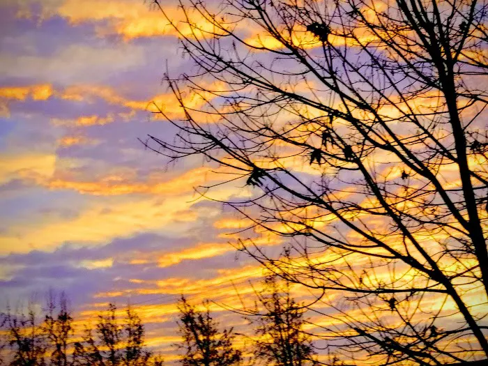 Parklane Manufactured Home Park Picture 10