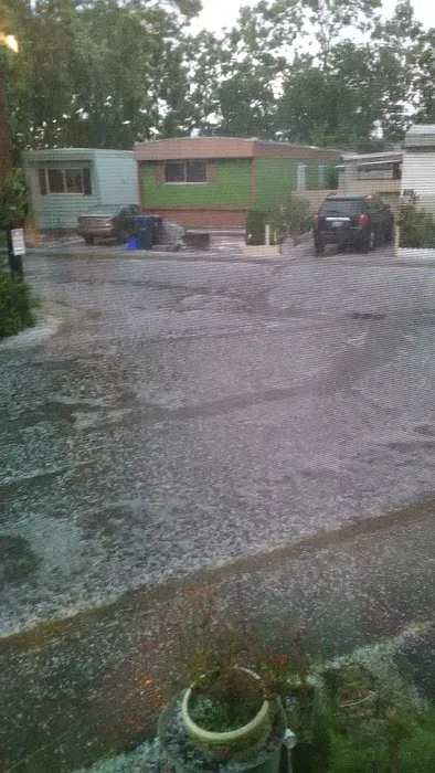 Parklane Manufactured Home Park Picture 3