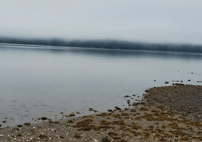 Rest-A-While RV Park Picture 4