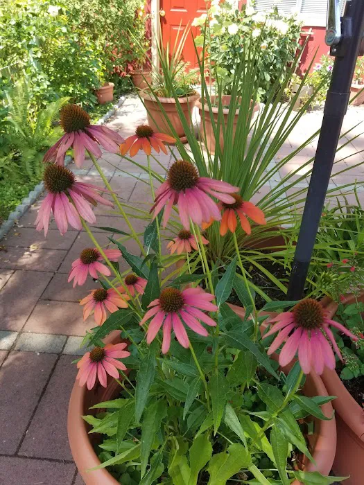 Golden Bell Manufactured Home Community Picture 6