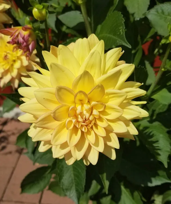 Golden Bell Manufactured Home Community Picture 4