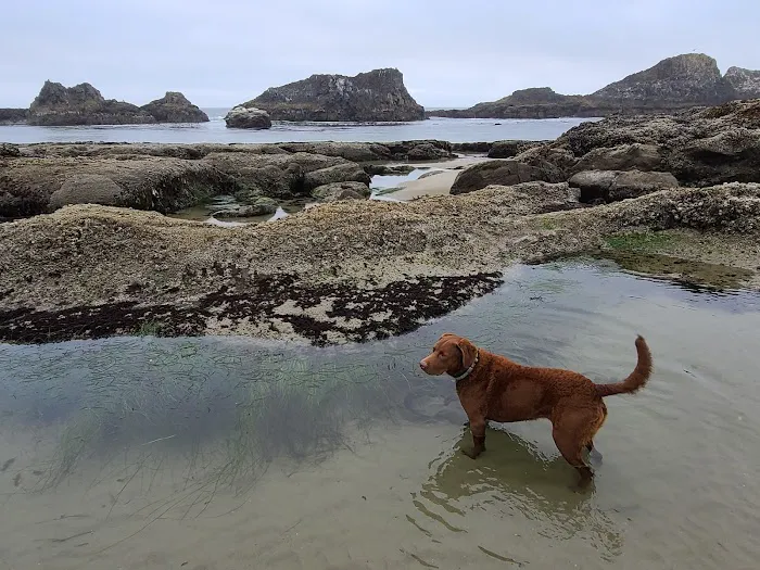 Seal Rocks RV Cove Picture 2